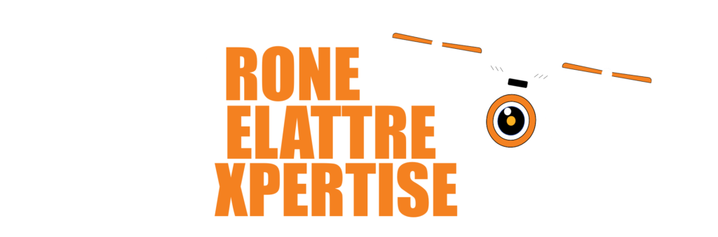 DRONE DELATTRE EXPERTISE - Logo version blanc